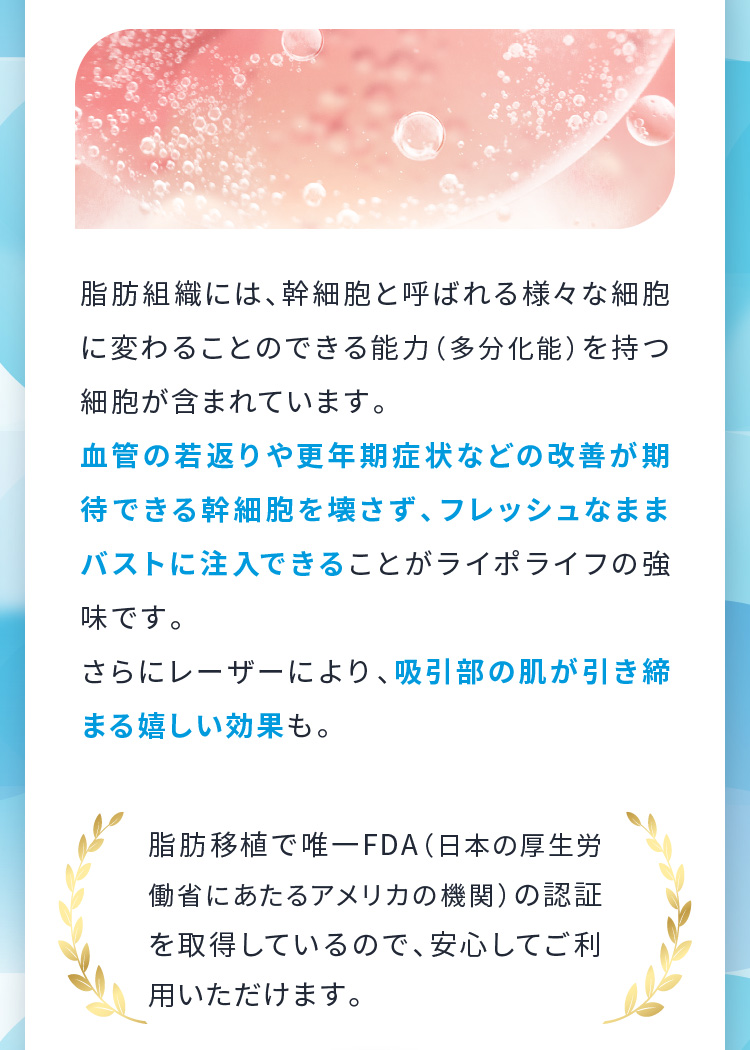 脂肪組織には、幹細胞と呼ばれる様々な細胞に変わることのできる能力（多分化能）を持つ細胞が含まれています。 血管の若返りや更年期症状などの改善が期待できる幹細胞を壊さず、フレッシュなままバストに注入できることがライポライフの強味です。さらにレーザーにより、吸引部の肌が引き締まる嬉しい効果も。